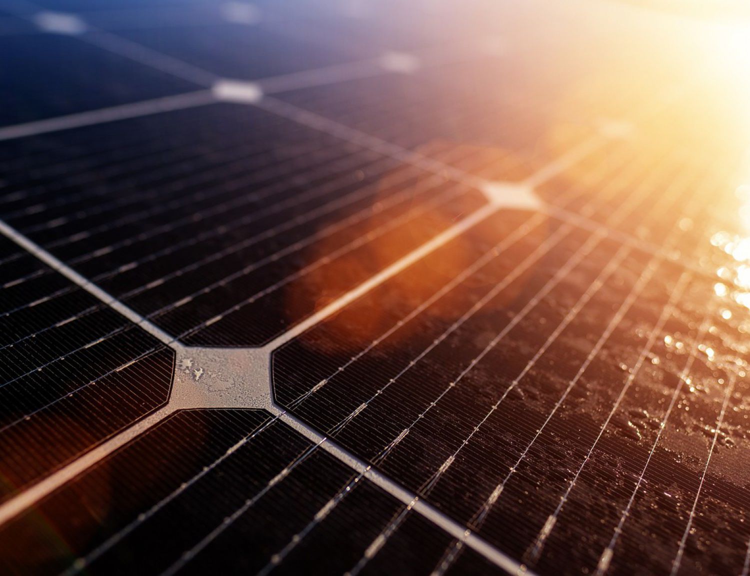 new/solar-energy-solar-panel-solar-cell-photovoltaic-4045029.jpg
